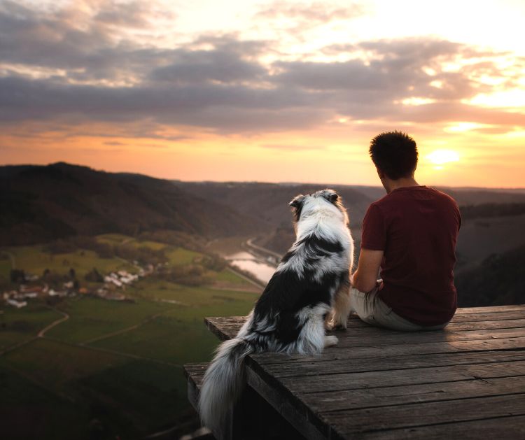 Australians at risk of mortgage stress